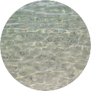 Anna Planck profile picture